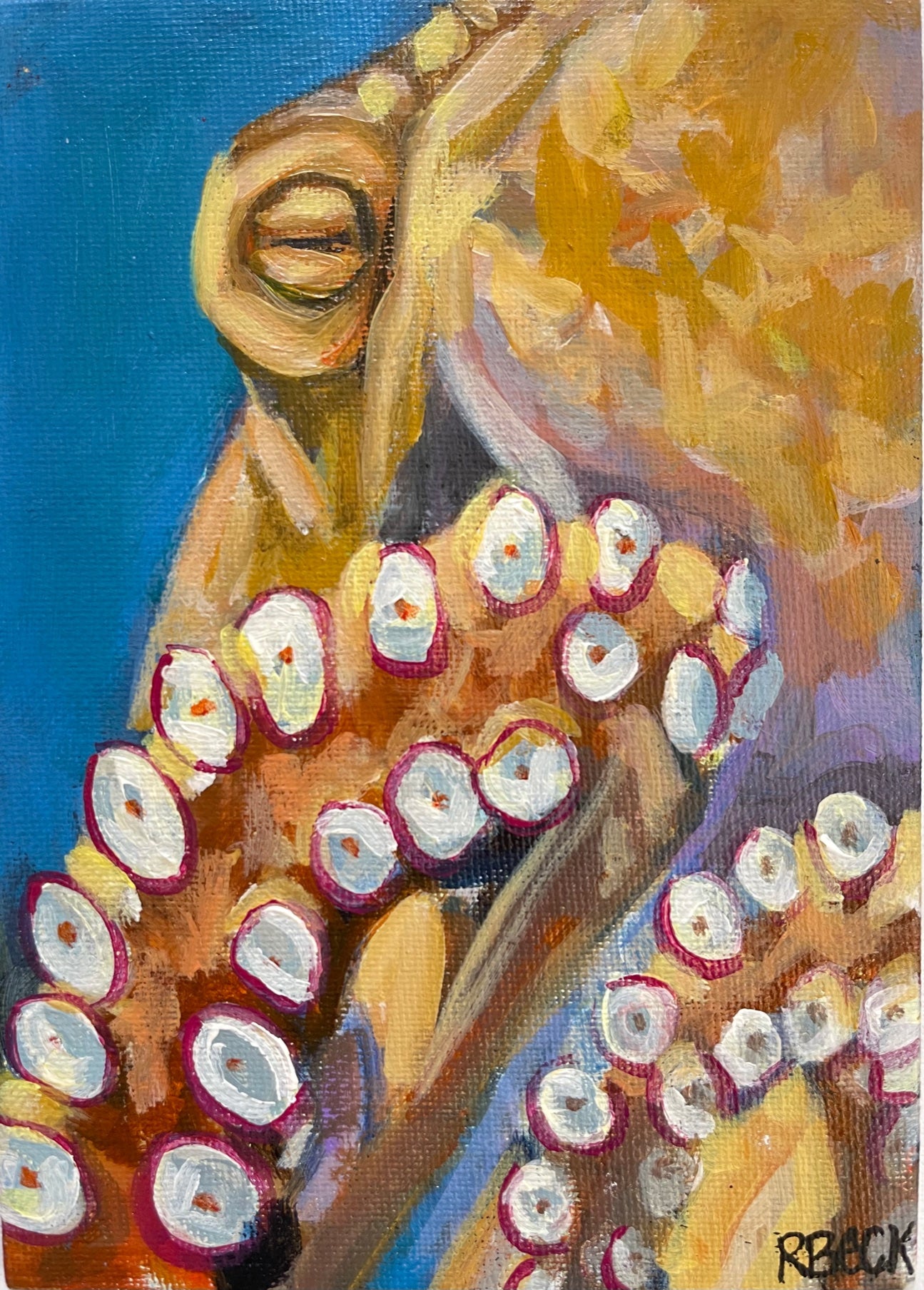 Octopus Study IV