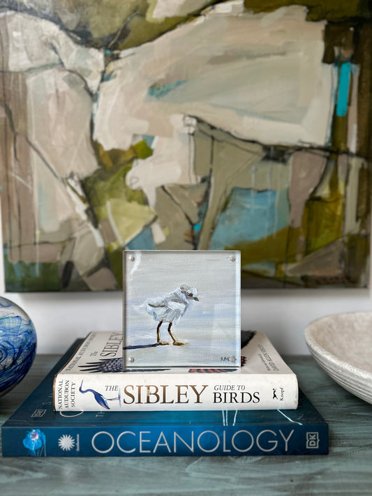 5x5 sand piper print in acrylic frame