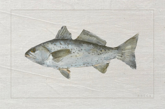 Summer Trout Fish Print