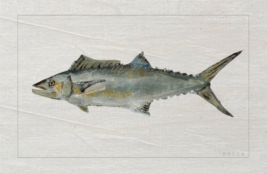 King Mackerel Fish Print