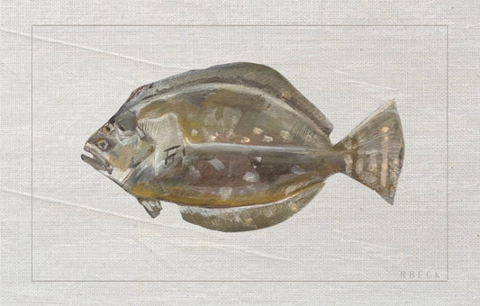 Flounder Fish Print