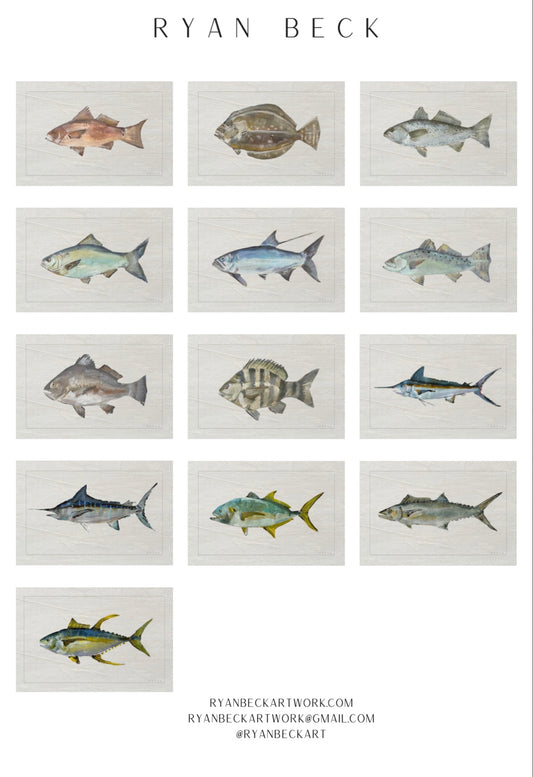 Individual Fish Prints in Acrylic Frames [13 CT]
