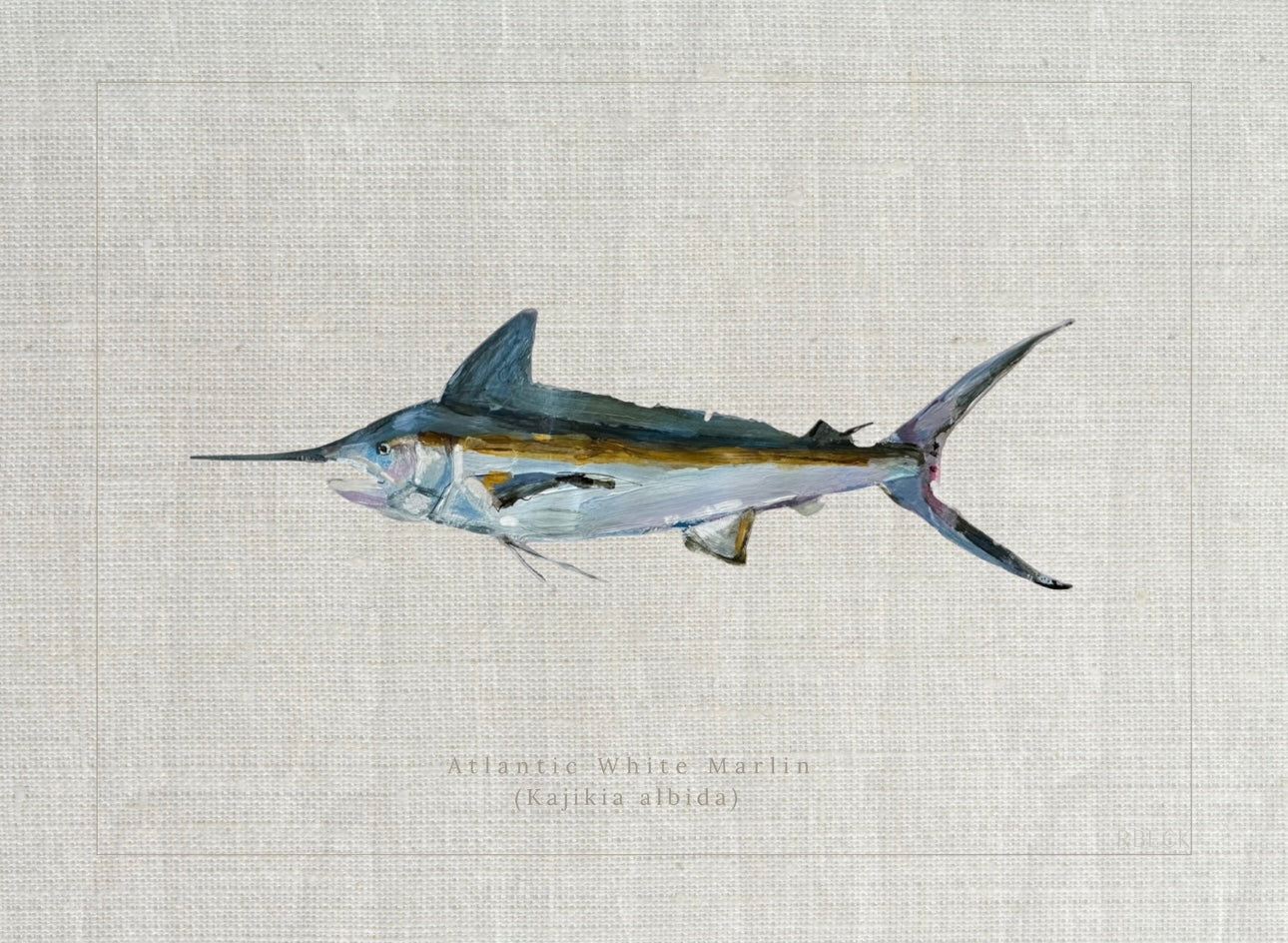 Atlantic White Marlin Fish Print by Charleston artist Ryan Beck - Coastal artwork with textured linen look