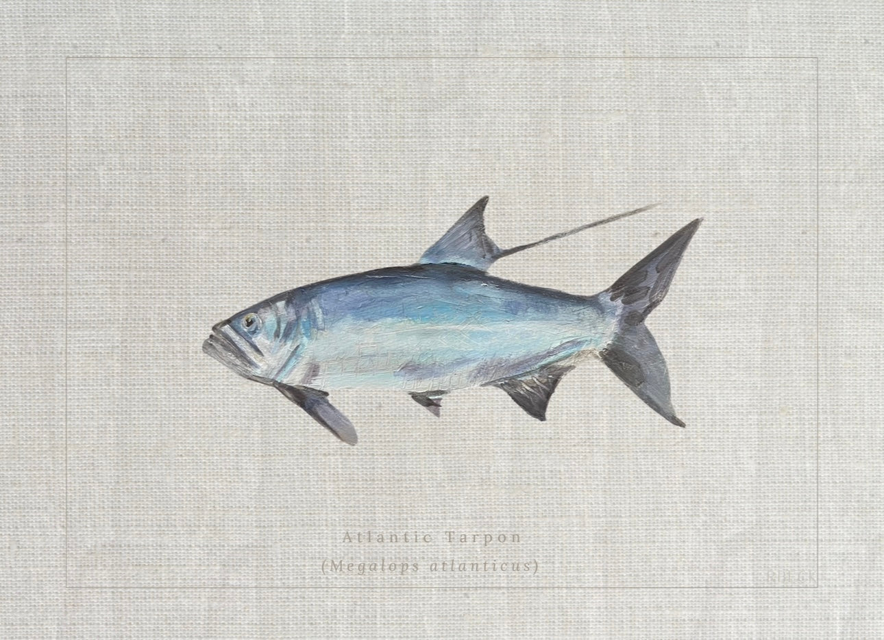 Atlantic Tarpon Fish Print by Charleston artist Ryan Beck - Coastal artwork with textured linen look