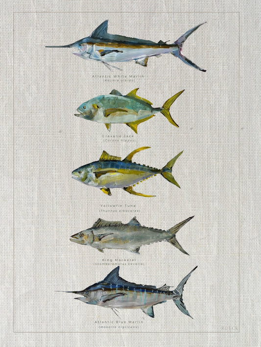 SC Offshore Fish Print with Marlin, Mackerel, Jacks, Yellowfin Tuna created by Charleston artist Ryan Beck perfect modern coastal interior design fish painting