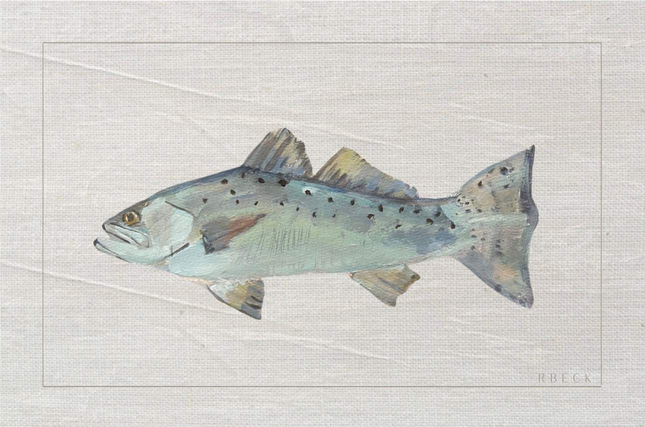 Spotted Sea Bass Print