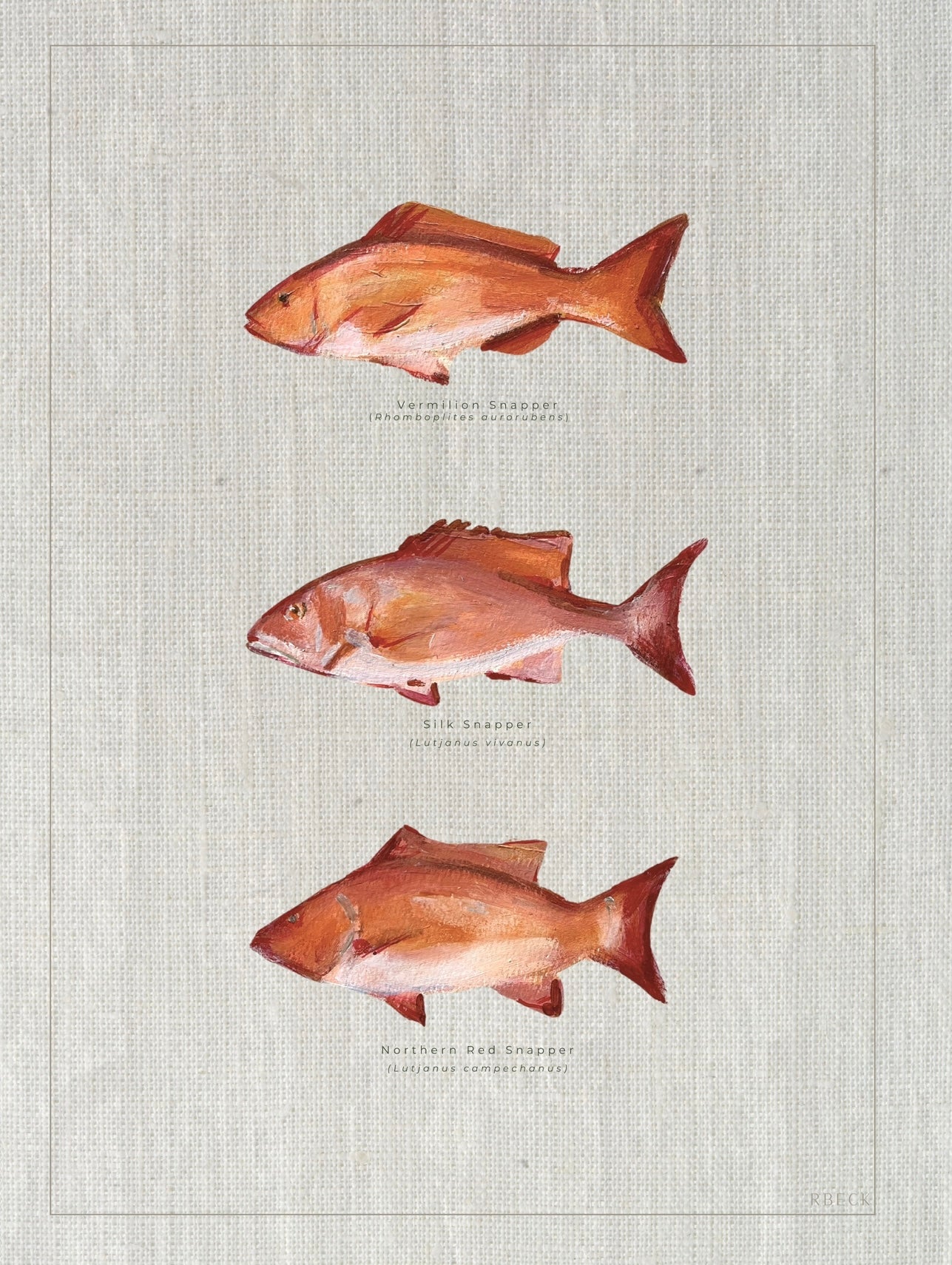 Snapper Fish Print by Charleston artist Ryan Beck - Coastal artwork featuring Vermillion, Silk, and Red Snapper with textured linen look