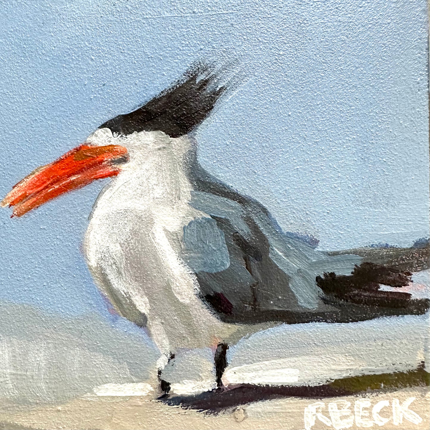 Royal Tern Print, 5”x 5”